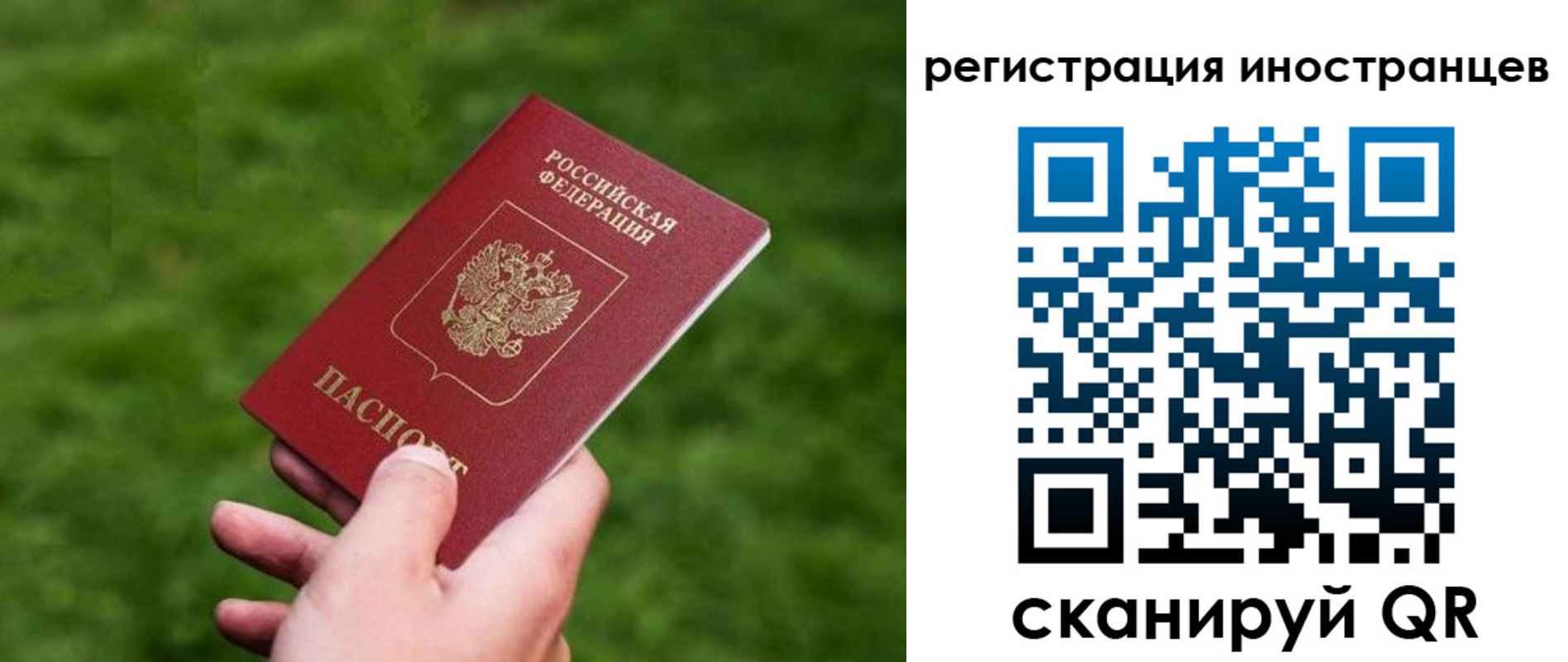 прописка ребенка в Щёкино
